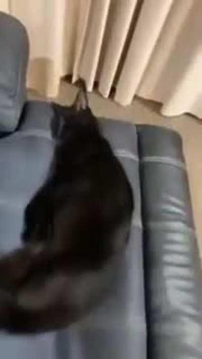 As I stretch my legs