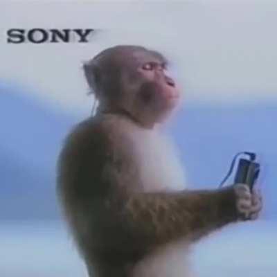 MUCALOL CURTINDO UMA MUSIQUINHA