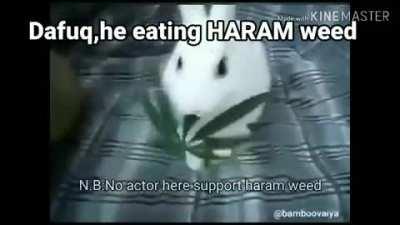 😉The halaL fast furyous allah edition®😳😳😳 السباق الأسطوري في الله و نشم من فضلك سجل دخولك بشار الأسد على مقاطعك المرئية 🤪🤪