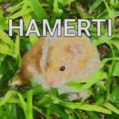 HAMERTI KAWOLWEKEKSKS