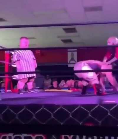 WWE 2k20 Mini Fighters Edition