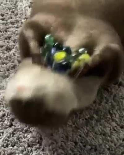 O título foi fazer a atividade on-line e se distraiu...