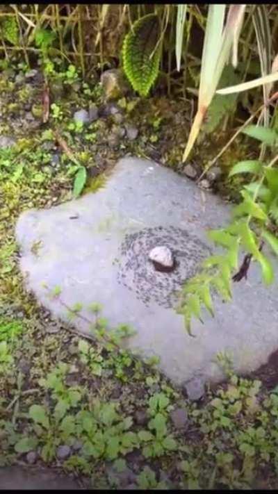 Some say the end is near