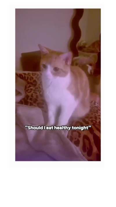 The head turn in the end 🤣🔥