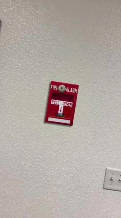 Me 5 minutes into the workday 