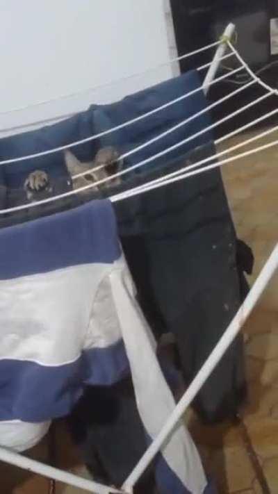 The struggle bus has arrived.