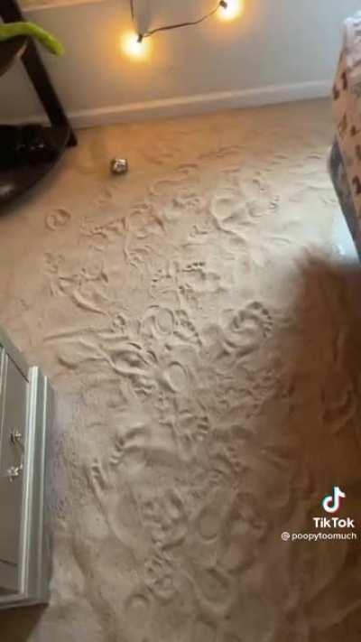 Someone must have been really terrified of Darth Vader