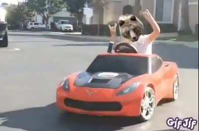 When bears finally get to show some gains