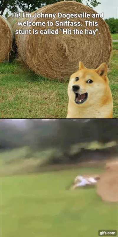 Le Sniffass 2 has arrived