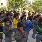 Little dude figured out life