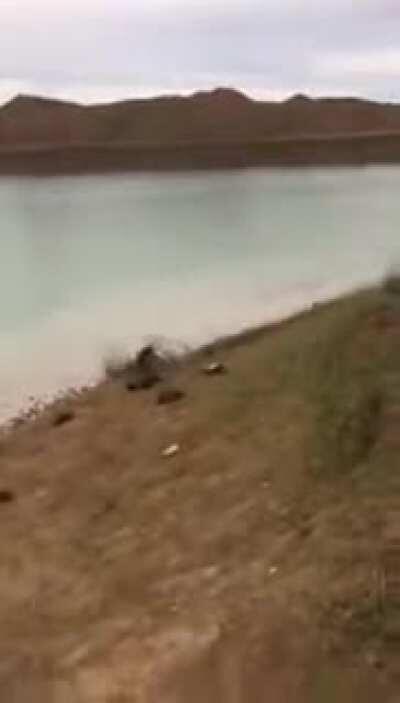 Darwin Awards Tryout