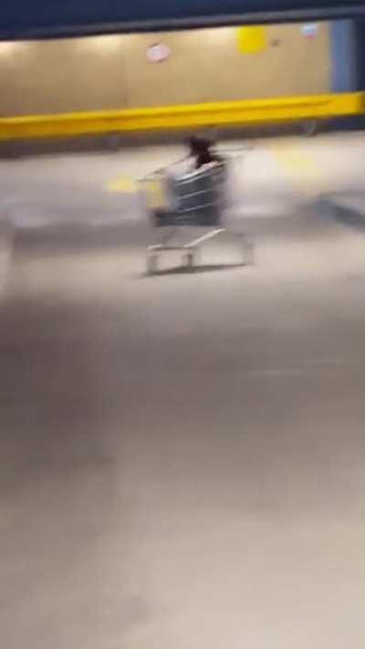 WCGW sliding down in a shopping cart