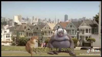 The boys when it comes to hentai