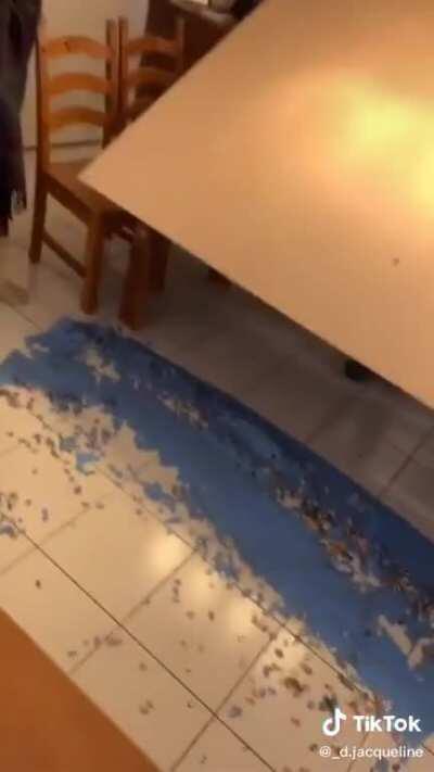 Mum made a 9,000 piece puzzle and her family ruined it for likes on tiktok :(