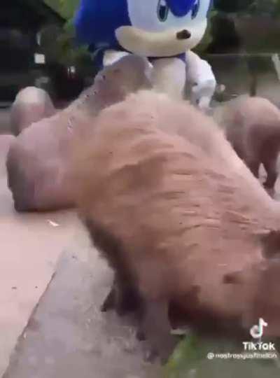 sonic frontiers dlc leaked gameplay