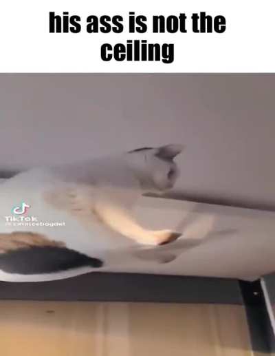 His ass is not a light fixture 