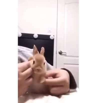 ola bine a revivir el reddit (tengo artritis no se rian 😔)