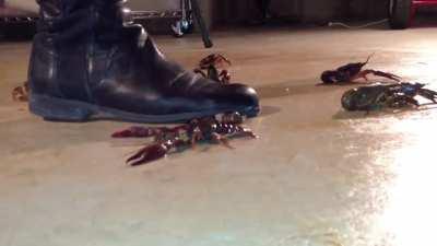 Veronica - Crawdad - Boots