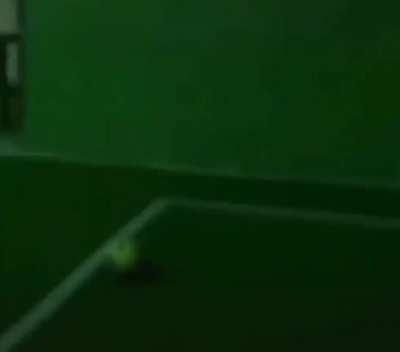 Pijas jogando bola na infância