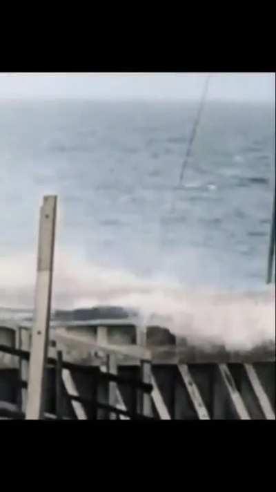 Horse Diving in 1920s