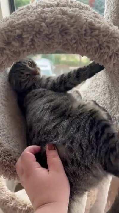 I guess she wasn’t fully awake