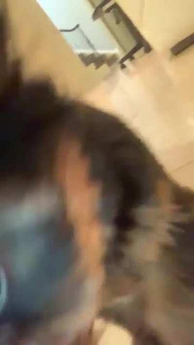 uzi got a puppy named Rex, on JT twitter