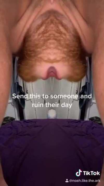 Its just.... just...... look at it