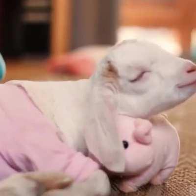 Possibly the most adorable kid in existence