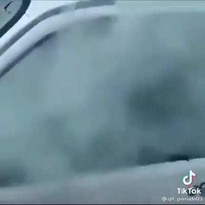 mufasa no seu Porsche