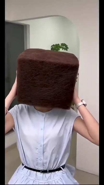 Perfect Minecraft hairdo aka 