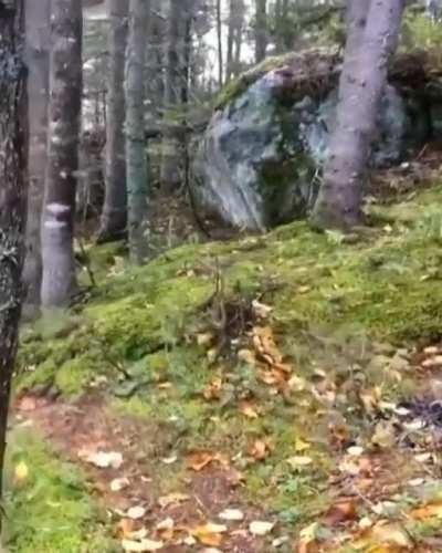 We have all been there...