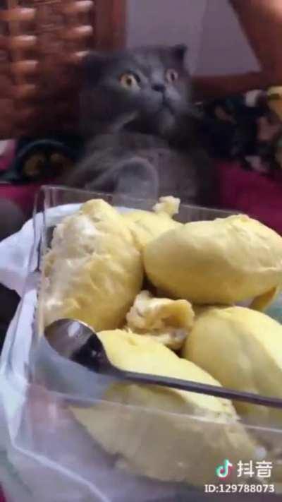 Smelling durian can make any system crash