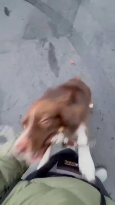 That's your job, hooman.