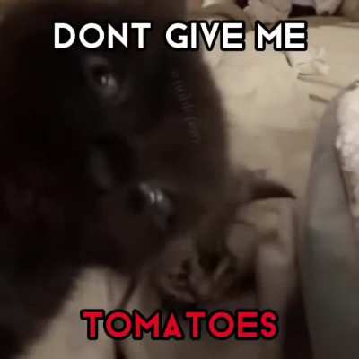 Wunkus LOVES bananas!