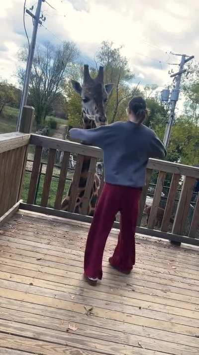 When you’re a 15-foot-tall goofball just looking for love