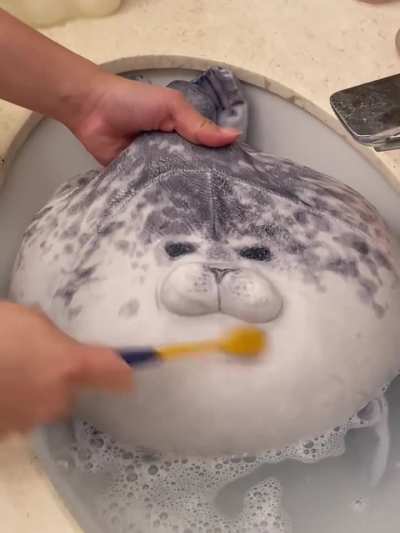 Yuki pillow wash