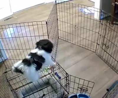 Mission impossible 7 