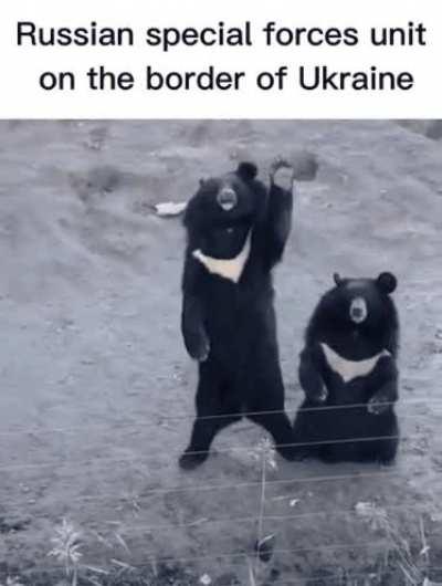 Bear spetnaz