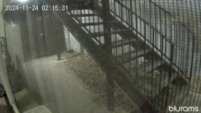 Neighbor who I've Never Spoken to Before