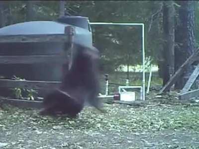 Whipped right in the balls