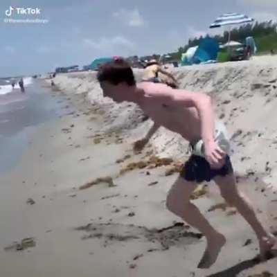 Semi aquatic scorpion of action.