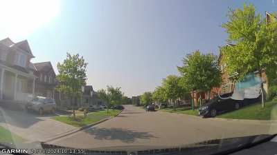 How to handle situations like this? (Dog is alright)