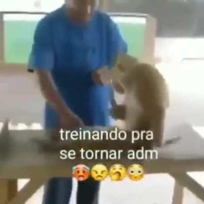 Luan no projeto kratos