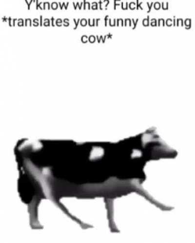 Polish cow rule
