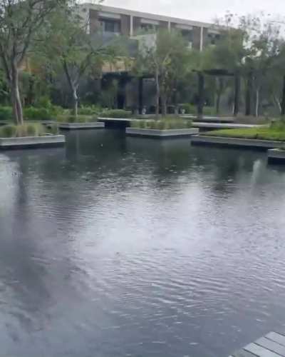 Angie Varona ❤️💛💚🖤 Subscribe to the Angievaronafans community, like, comment and share!!!!