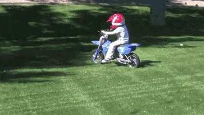 to not hit the only tree in the yard.