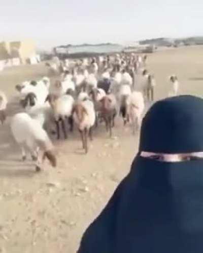 Found this gem today. Sorry if repost.