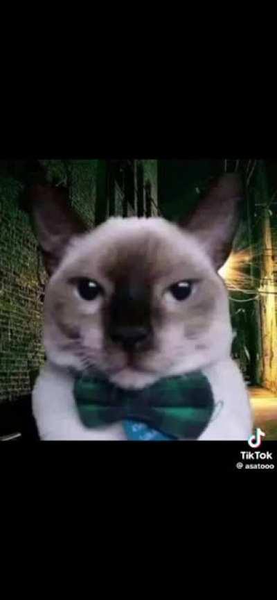 I hate when men heil spez