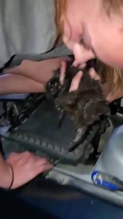 wOmAn ShOvEs SmAlL kItTeN iN cAr AfTeR pLaYiNg