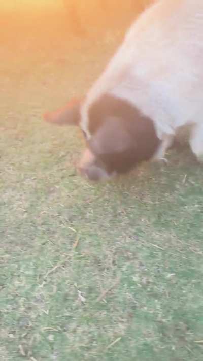 Some people like runny eggs